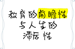 优化后的结语（保持专业性与前瞻性）：