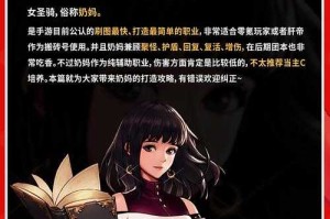 DNF2025奶萝技能全解析：奶量稳如泰山