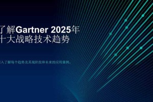以下是针对2025年技术趋势与挑战的深度解读及实施建议，结合前沿技术与合规要求：
