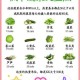 低盐饮食必备：哪些蔬菜不含盐分？健康蔬菜推荐