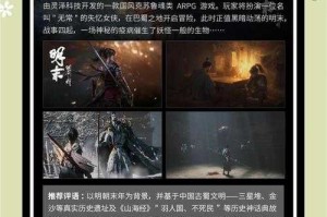 《龙之国》2025年度玩家实战指南与版本解析（精编版）