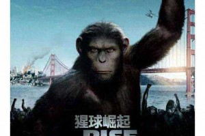 《金毛球》2025现状：7年蜕变与现象级之路