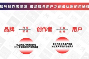 网易序列号2025：市场领跑 用户生态 技术创新