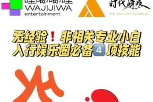 新手玩家：掌握这些技巧，轻松进入娱乐圈