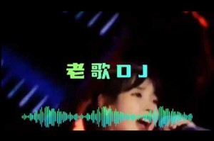 2025年DJ老歌市场现状与用户行为分析