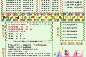 如何观看和理解118图库的直播？