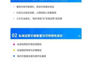 ### 游戏策略与运营指南综合解析（2025版）