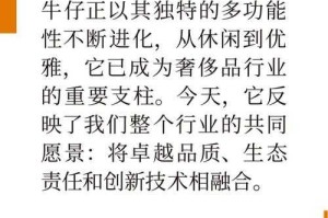 2025CS西部牛仔模式发展现状与行业挑战