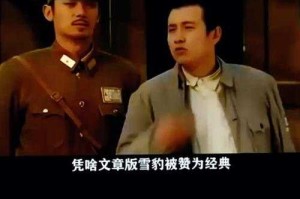 如何在线免费观看精彩的电视剧《雪豹2》？