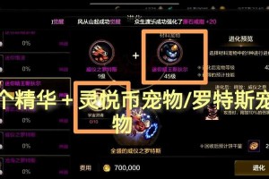 dnf宠物装备选择