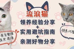 赛尔号赤西格2025全攻略：实战培养与避坑指南