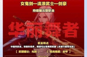 基于提供的《DNF女剑士职业发展报告》数据，以下为深度分析框架及核心洞察：