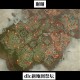 《暗黑破坏神》手游新手入门指南