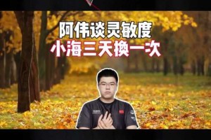 阿伟绝地求生的梗到底是怎么火起来的