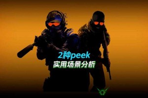 2025年CSGO2换肤器技术对比与选购指南