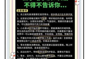 初学者指南：在冰城中生存的秘诀