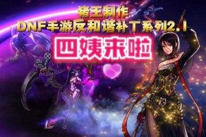 DNF 2025数据异常与反制措施解析