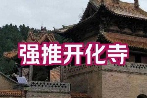 如何提升单开化生寺的效率与效益？提升单开化生寺的技巧和策略是什么？