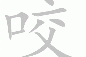 啃组词技巧大全：高效学习方法与实战应用