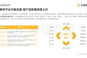 DC官网2025发展：用户反馈技术优化社会价值