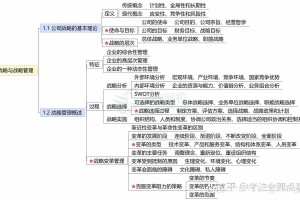 根据提供的信息，我为您梳理以下战略分析框架：