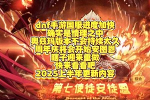 DNF手游国服2025年度对比与用户增长分析