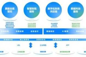 金山通行证：数字服务生态破局与争议并存