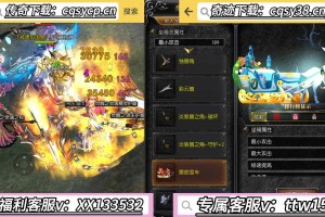 如何安全登录木瓜奇迹游戏？使用哪种登录器更安全可靠？