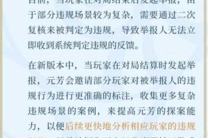 关于游戏性能优化与版本更新机制的专业说明（修订版）