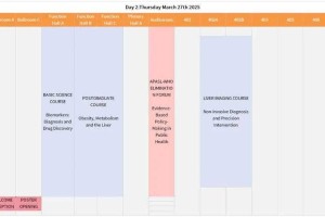 DaysMatter 2025：智能日程与全球效率革新