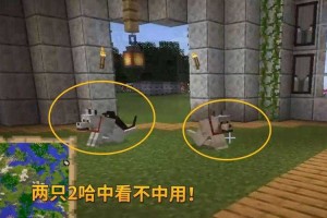 我的世界二哈与呆呆的区别，我的，它们 呆呆