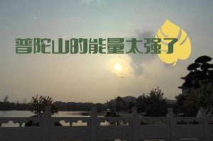 如何提升普陀灵动的效能？灵动能助我提升多少法力值？如何最大化利用普陀灵动的效果？_灵动的法术增幅详解