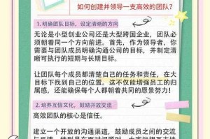 如何优化组建一支高效的黑角团队？团队配置策略解析