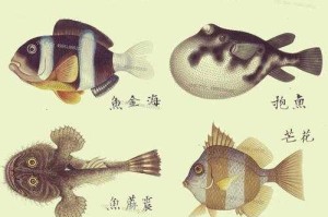 探索海洋宝藏：百种常见海鱼图谱，如何识别与了解它们？