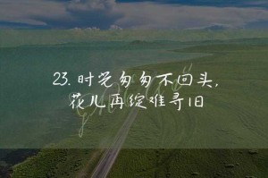 长日光阴乱作一团 光阴似箭里的生活真相