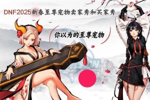 DNF2025神选宠物升级效率资源玩家体验全解析