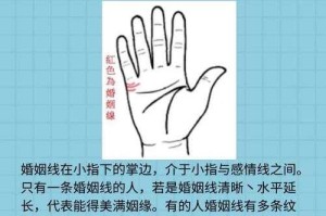 科学解读手相预测性别准确性