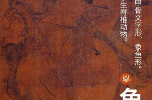 Cute中文翻译与文化符号演变