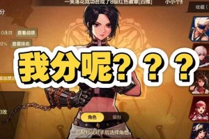 2025年Dnfpk场速度优化与解决方案