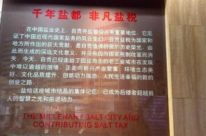 石中盐矿启2025地下盐业革命
