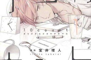 如何安全获取并体验_10count_的汉化版？