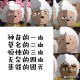 《五人开黑游戏昵称推荐：搞笑-沙雕-创意团队必备ID大全》