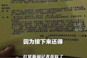苹果派乡村精灵致幻声波引耳鸣事故