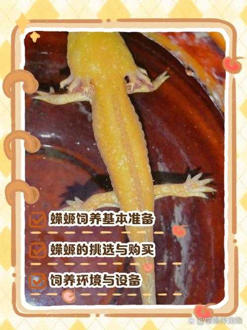 魔法饲料喂蝾螈会变胖吗？