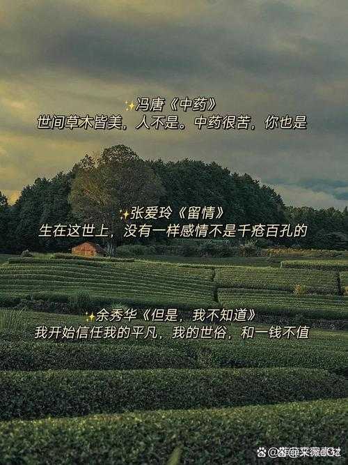 《三国之邪欲人生:权谋争霸与爱恨情仇》