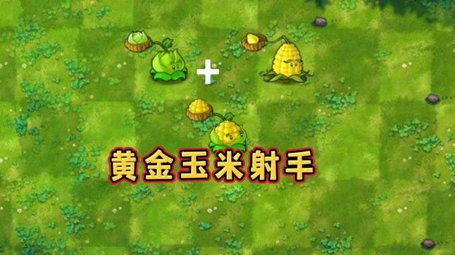 植物大战僵尸2玉米投手和卷心菜投手的伤害谁高