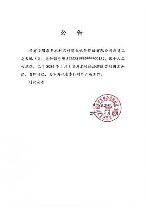 公告怎么写范文 - 标准格式与实用范例大全