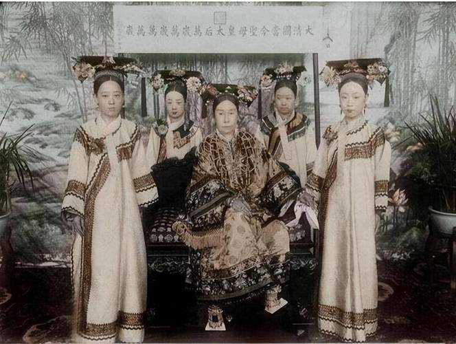 《万凰之王道光:揭秘道光帝后宫的权力博弈与传奇人生》