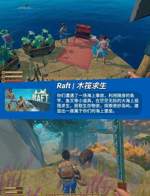 新手生存游戏入门指南