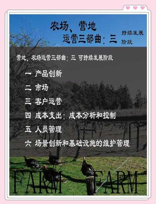 网易农场2025:4.2亿用户生态升级 技术经济双驱动